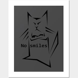 Cat no smile Posters and Art